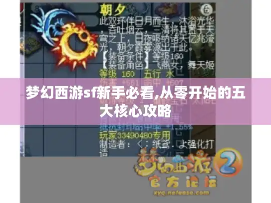 梦幻西游sf新手必看,从零开始的五大核心攻略