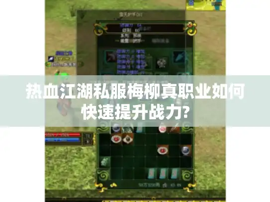 热血江湖私服梅柳真职业如何快速提升战力? 热血江湖私服梅柳真职业如何快速提升战力?