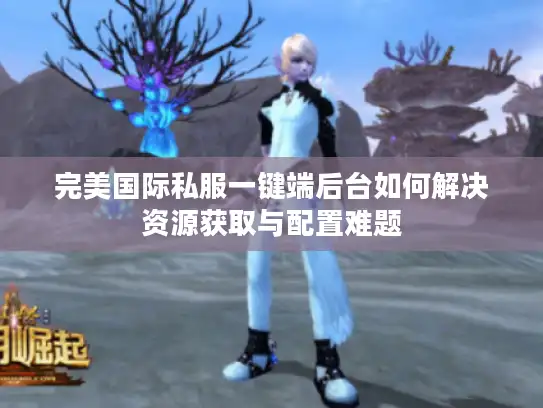完美国际私服一键端后台如何解决资源获取与配置难题