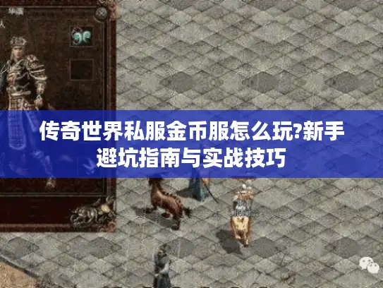 传奇世界私服金币服怎么玩?新手避坑指南与实战技巧