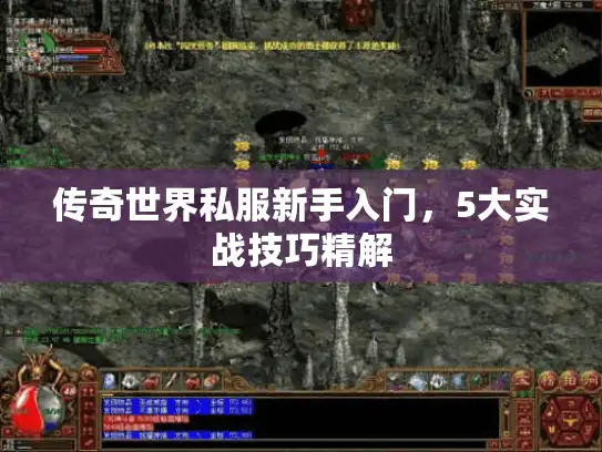 传奇世界私服新手入门，5大实战技巧精解