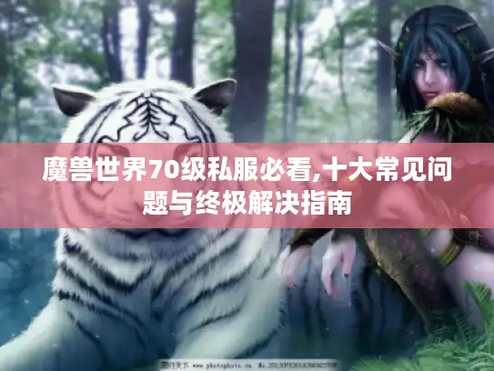 魔兽世界70级私服必看,十大常见问题与终极解决指南
