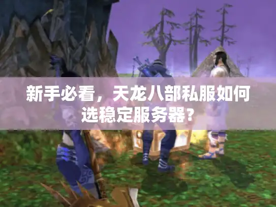新手必看,天龙八部私服如何选稳定服务器? 新手必看,天龙八部私服如何选稳定服务器?