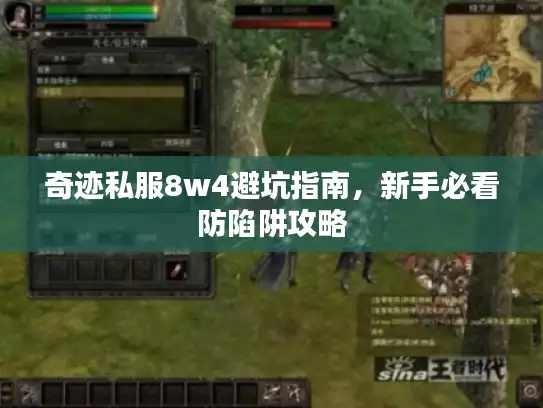 奇迹私服8w4避坑指南,新手必看防陷阱攻略 奇迹私服8w4避坑指南,新手必看防陷阱攻略