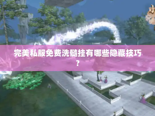 完美私服免费洗髓挂有哪些隐藏技巧? 完美私服免费洗髓挂有哪些隐藏技巧?