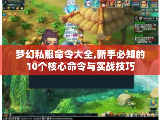 梦幻私服命令大全,新手必知的10个核心命令与实战技巧