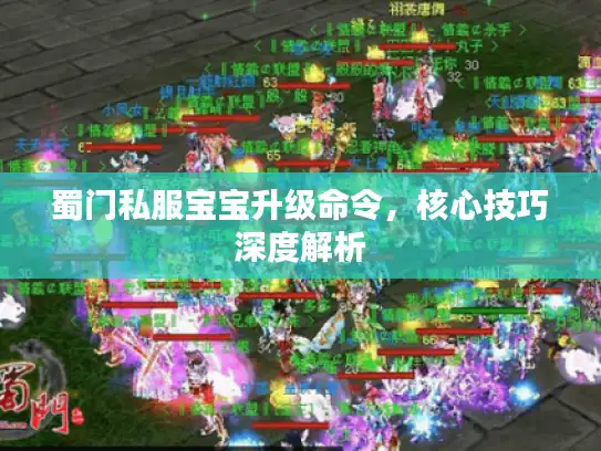 蜀门私服宝宝升级命令，核心技巧深度解析