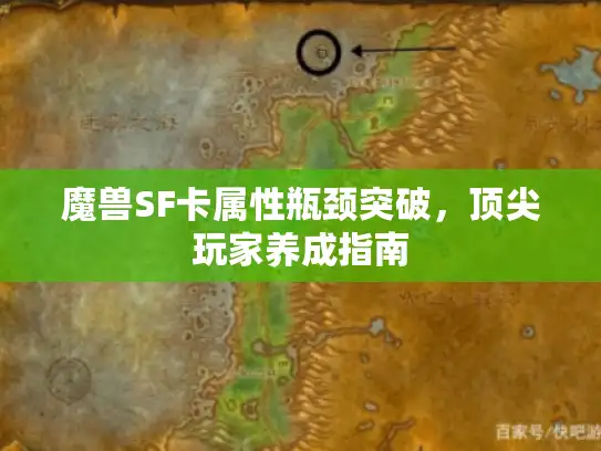 魔兽SF卡属性瓶颈突破，顶尖玩家养成指南