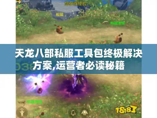 天龙八部私服工具包终极解决方案,运营者必读秘籍
