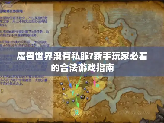 魔兽世界没有私服?新手玩家必看的合法游戏指南