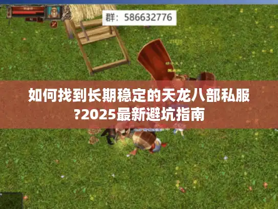 如何找到长期稳定的天龙八部私服?2025最新避坑指南