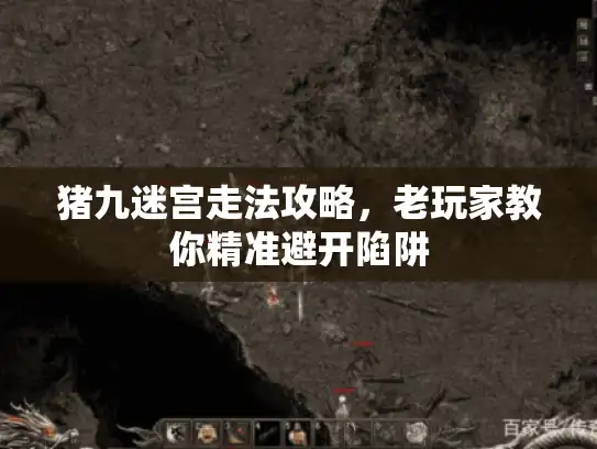 猪九迷宫走法攻略，老玩家教你精准避开陷阱