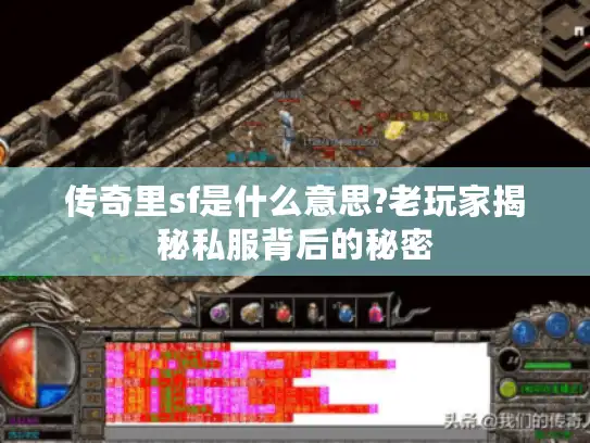 传奇里sf是什么意思?老玩家揭秘私服背后的秘密