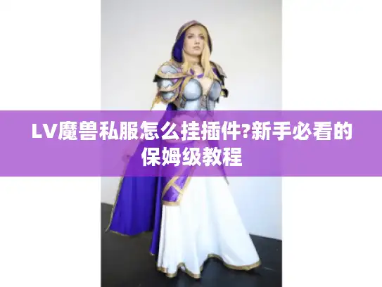 LV魔兽私服怎么挂插件?新手必看的保姆级教程