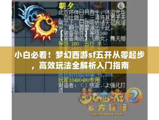 小白必看！梦幻西游sf五开从零起步，高效玩法全解析入门指南