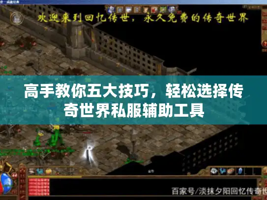 高手教你五大技巧，轻松选择传奇世界私服辅助工具
