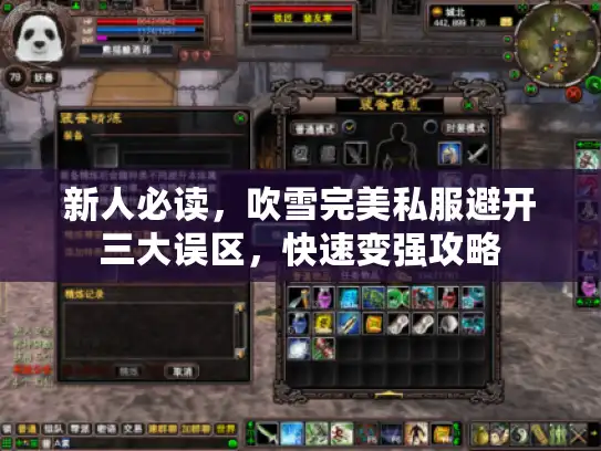新人必读,吹雪完美私服避开三大误区,快速变强攻略 新人必读,吹雪完美私服避开三大误区,快速变强攻略
