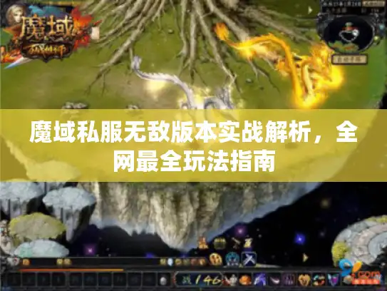 魔域私服无敌版本实战解析，全网最全玩法指南