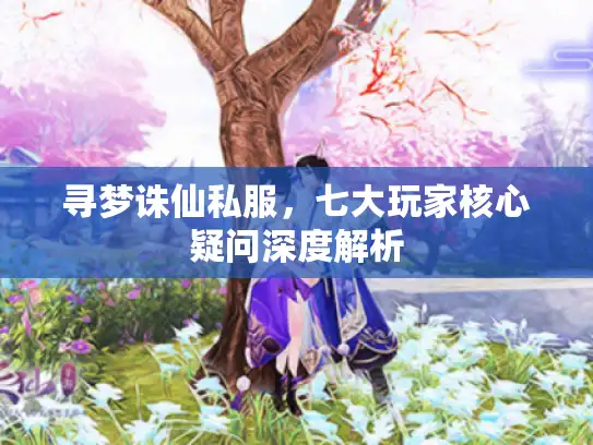 寻梦诛仙私服,七大玩家核心疑问深度解析 寻梦诛仙私服,七大玩家核心疑问深度解析
