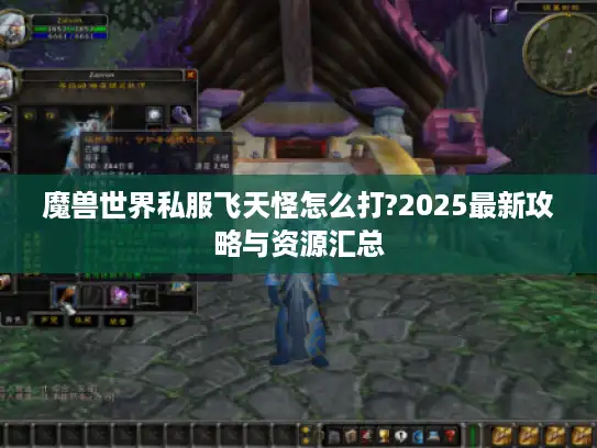 魔兽世界私服飞天怪怎么打?2025最新攻略与资源汇总