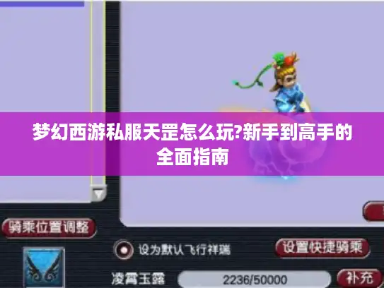 梦幻西游私服天罡怎么玩?新手到高手的全面指南