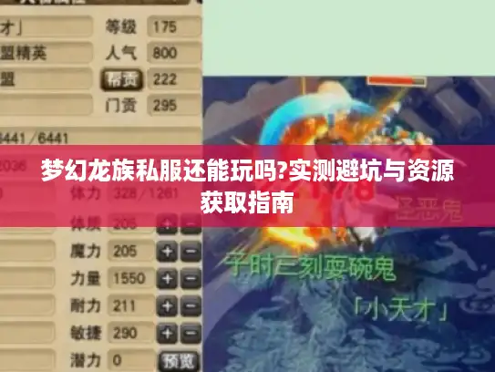 梦幻龙族私服还能玩吗?实测避坑与资源获取指南 梦幻龙族私服还能玩吗?实测避坑与资源获取指南