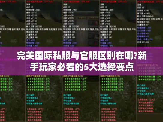 完美国际私服与官服区别在哪?新手玩家必看的5大选择要点 完美国际私服与官服区别在哪?新手玩家必看的5大选择要点