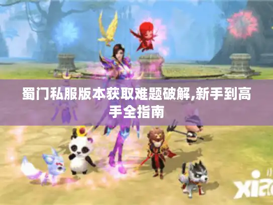 蜀门私服版本获取难题破解,新手到高手全指南