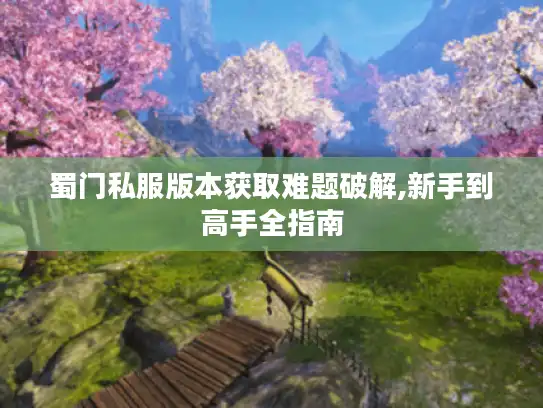 蜀门私服版本获取难题破解,新手到高手全指南