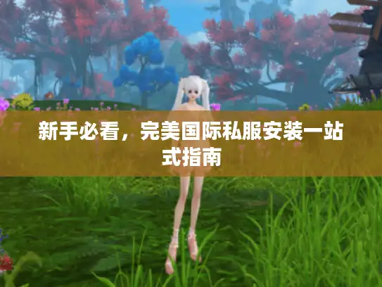 新手必看，完美国际私服安装一站式指南