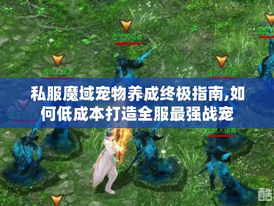 私服魔域宠物养成终极指南,如何低成本打造全服最强战宠 私服魔域宠物养成终极指南,如何低成本打造全服最强战宠