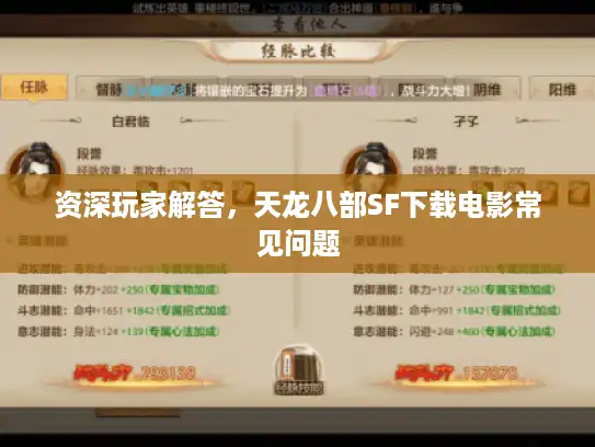 资深玩家解答，天龙八部SF下载电影常见问题