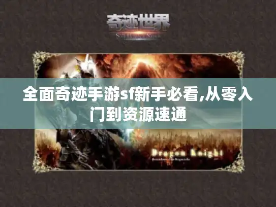 全面奇迹手游sf新手必看,从零入门到资源速通 全面奇迹手游sf新手必看,从零入门到资源速通