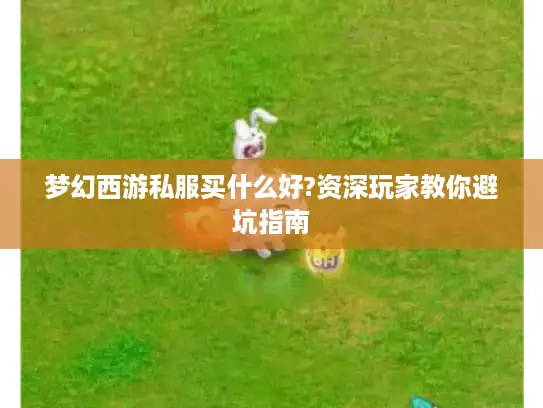 梦幻西游私服买什么好?资深玩家教你避坑指南