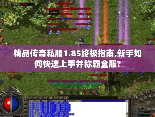 精品传奇私服1.85终极指南,新手如何快速上手并称霸全服?