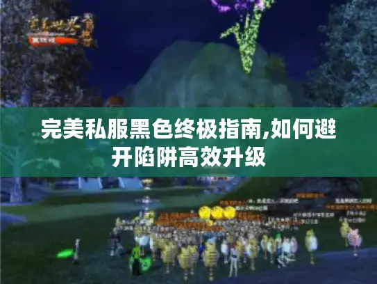 完美私服黑色终极指南,如何避开陷阱高效升级 完美私服黑色终极指南,如何避开陷阱高效升级