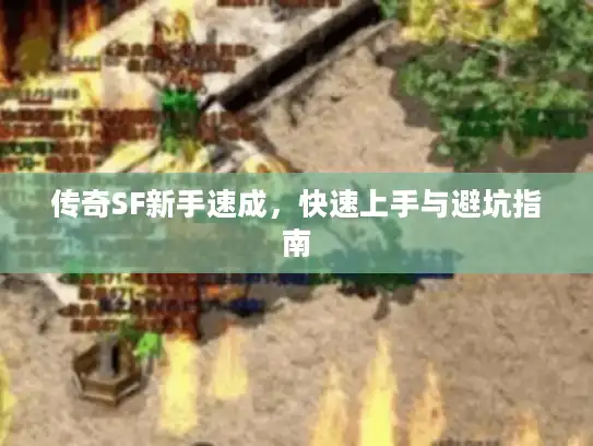 传奇SF新手速成，快速上手与避坑指南