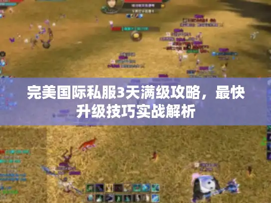 完美国际私服3天满级攻略，最快升级技巧实战解析