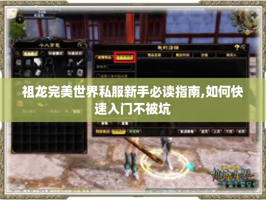 祖龙完美世界私服新手必读指南,如何快速入门不被坑