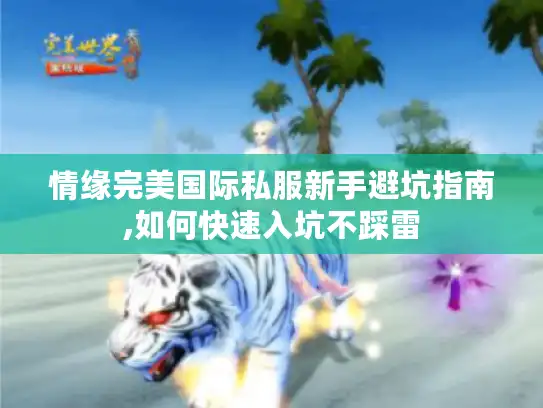 情缘完美国际私服新手避坑指南,如何快速入坑不踩雷