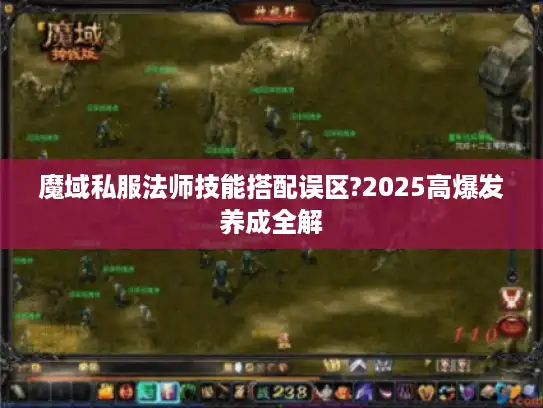 魔域私服法师技能搭配误区?2025高爆发养成全解 魔域私服法师技能搭配误区?2025高爆发养成全解