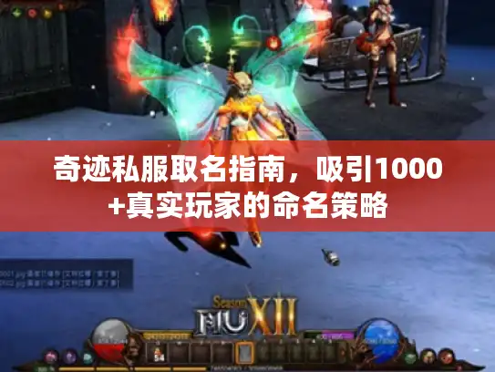 奇迹私服取名指南，吸引1000+真实玩家的命名策略