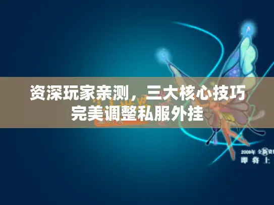 资深玩家亲测，三大核心技巧完美调整私服外挂