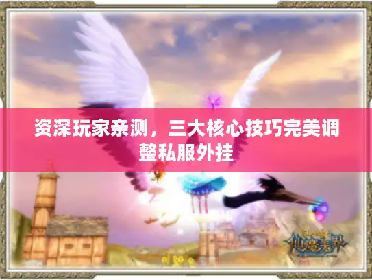 资深玩家亲测，三大核心技巧完美调整私服外挂