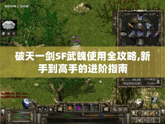 破天一剑SF武魄使用全攻略,新手到高手的进阶指南