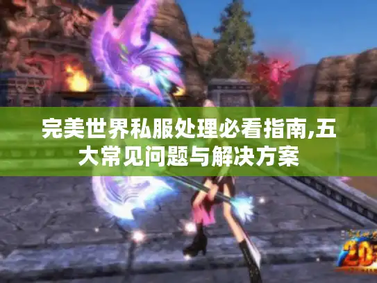 完美世界私服处理必看指南,五大常见问题与解决方案