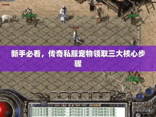 新手必看，传奇私服宠物领取三大核心步骤