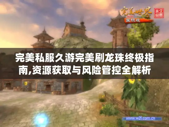 完美私服久游完美刷龙珠终极指南,资源获取与风险管控全解析