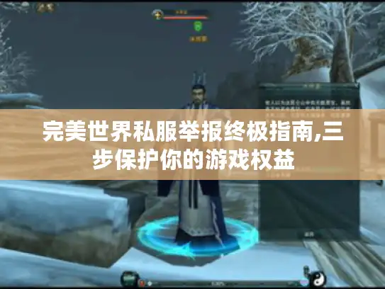 完美世界私服举报终极指南,三步保护你的游戏权益