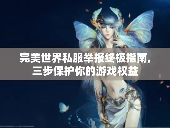 完美世界私服举报终极指南,三步保护你的游戏权益